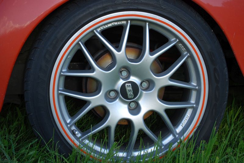 kaefer_orange 09.jpg